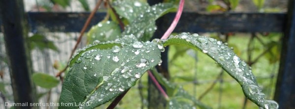 Rain Returns To The West