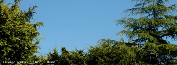 Sunny End To The Week